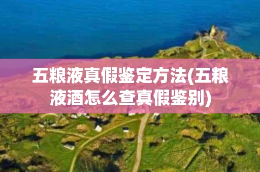 五粮液真假鉴定方法(五粮液酒怎么查真假鉴别)