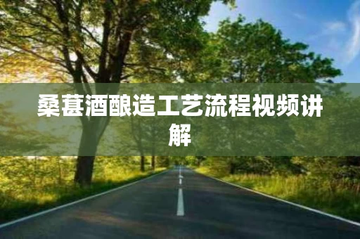 桑葚酒酿造工艺流程视频讲解