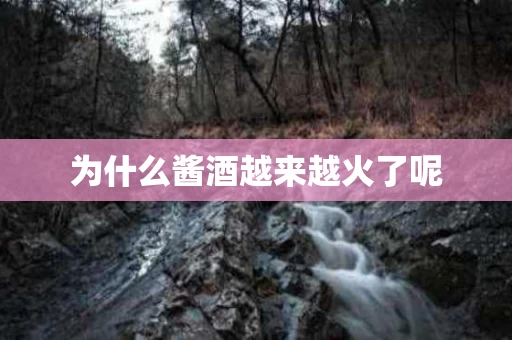 为什么酱酒越来越火了呢