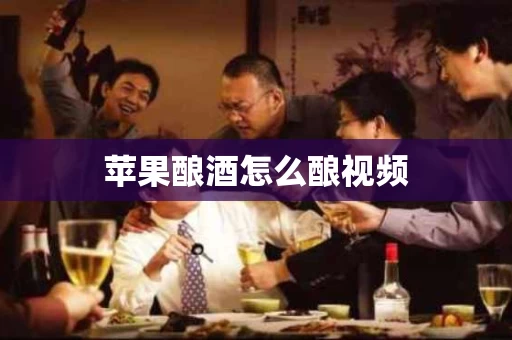 苹果酿酒怎么酿视频