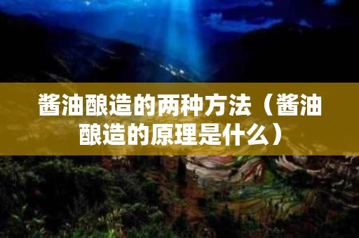 酱油酿造的两种方法（酱油酿造的原理是什么）