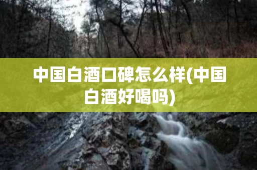 中国白酒口碑怎么样(中国白酒好喝吗)