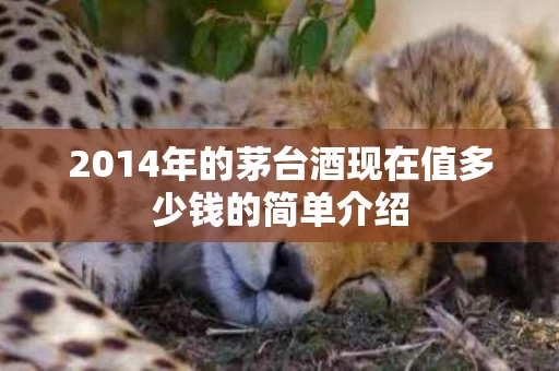2014年的茅台酒现在值多少钱的简单介绍