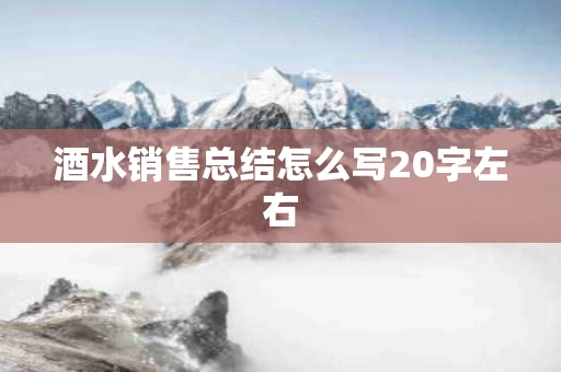 酒水销售总结怎么写20字左右