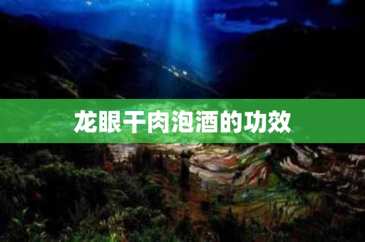 龙眼干肉泡酒的功效 龙眼干肉泡酒的功效