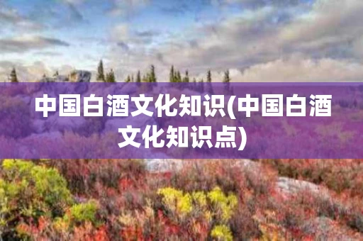 中国白酒文化知识(中国白酒文化知识点)