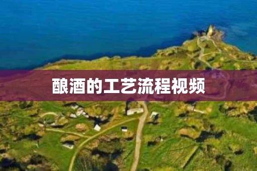 酿酒的工艺流程视频