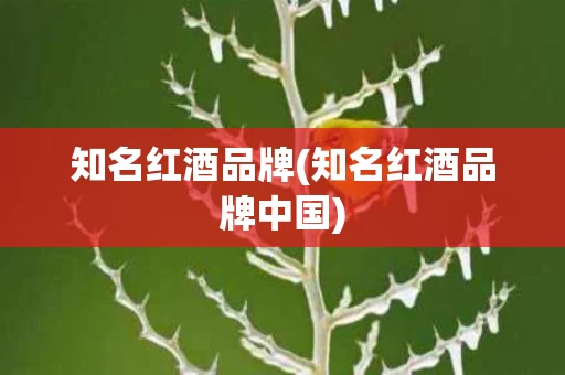 知名红酒品牌(知名红酒品牌中国)