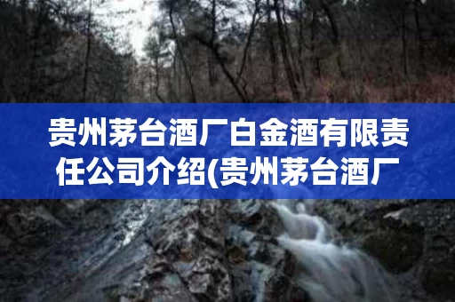 贵州茅台酒厂白金酒有限责任公司介绍(贵州茅台酒厂集团白金酒有限责任公司是真的茅台酒吗)