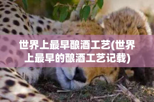 世界上最早酿酒工艺(世界上最早的酿酒工艺记载)