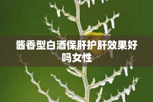 酱香型白酒保肝护肝效果好吗女性