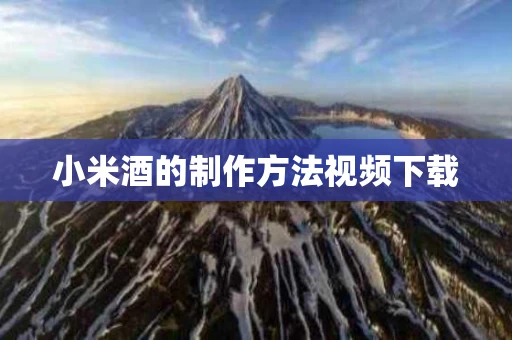 小米酒的制作方法视频下载