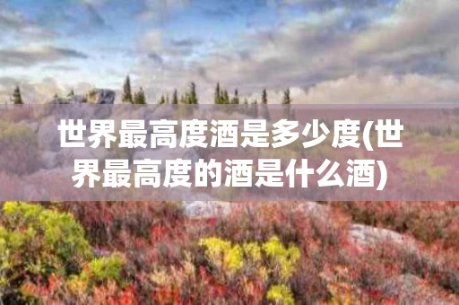 世界最高度酒是多少度(世界最高度的酒是什么酒)