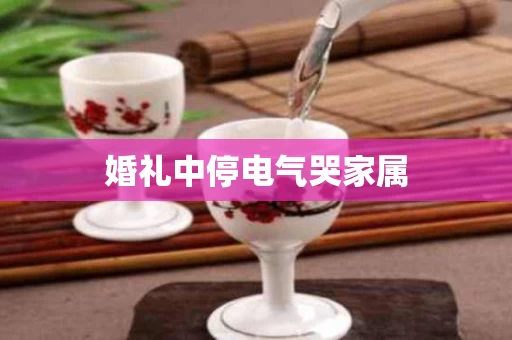 婚礼中停电气哭家属