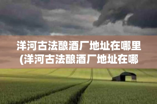 洋河古法酿酒厂地址在哪里(洋河古法酿酒厂地址在哪里啊)
