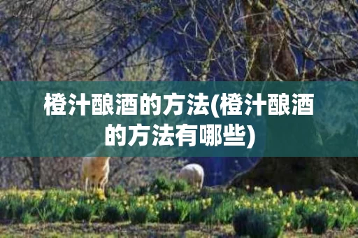 橙汁酿酒的方法(橙汁酿酒的方法有哪些)