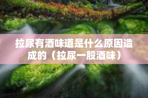拉尿有酒味道是什么原因造成的（拉尿一股酒味）