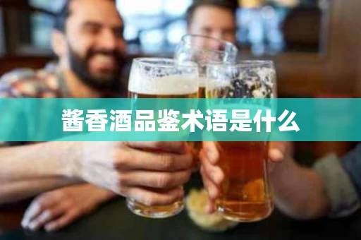 酱香酒品鉴术语是什么