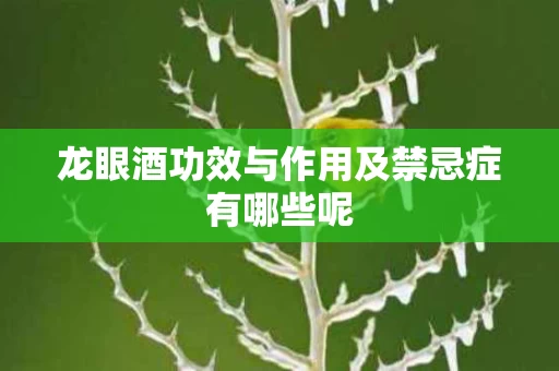龙眼酒功效与作用及禁忌症有哪些呢