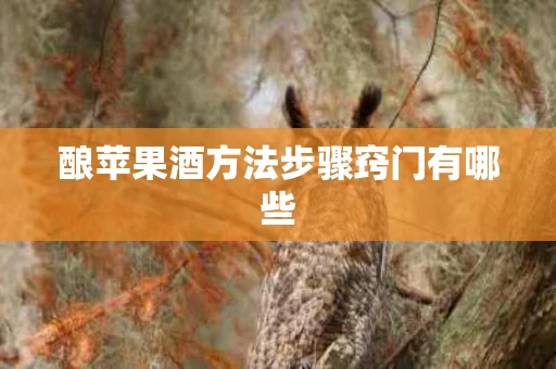酿苹果酒方法步骤窍门有哪些