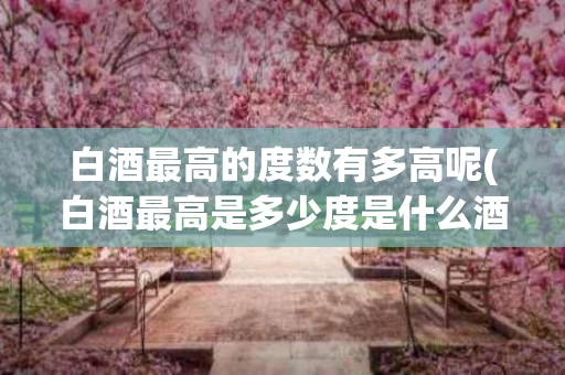 白酒最高的度数有多高呢(白酒最高是多少度是什么酒)