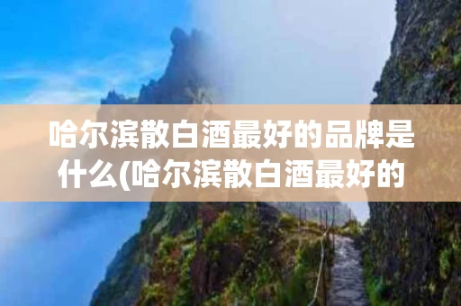 哈尔滨散白酒最好的品牌是什么(哈尔滨散白酒最好的品牌是什么呢)