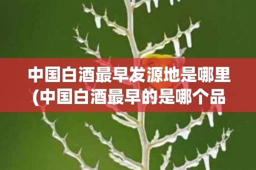 中国白酒最早发源地是哪里(中国白酒最早的是哪个品牌)