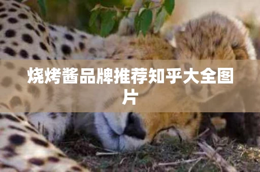 烧烤酱品牌推荐知乎大全图片