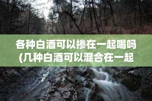 各种白酒可以掺在一起喝吗(几种白酒可以混合在一起吗)