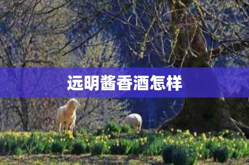 远明酱香酒怎样