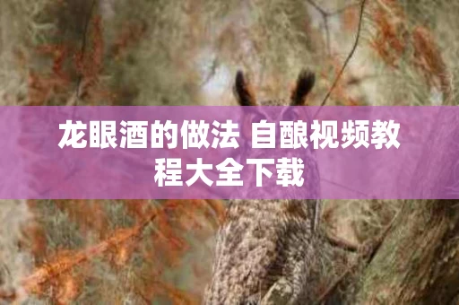 龙眼酒的做法 自酿视频教程大全下载