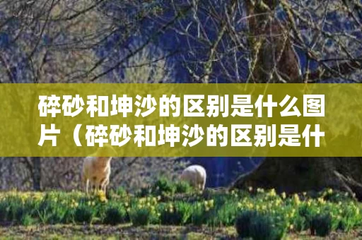 碎砂和坤沙的区别是什么图片（碎砂和坤沙的区别是什么图片对比）