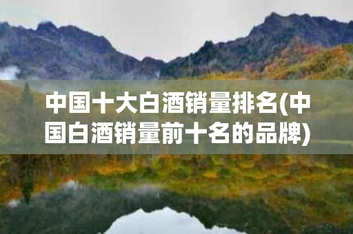 中国十大白酒销量排名(中国白酒销量前十名的品牌)