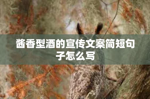 酱香型酒的宣传文案简短句子怎么写