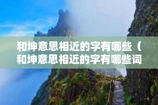 和坤意思相近的字有哪些（和坤意思相近的字有哪些词语）