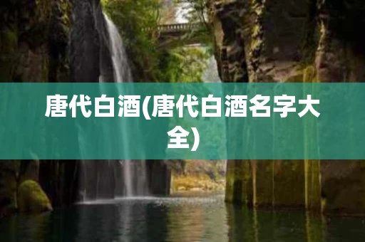 唐代白酒(唐代白酒名字大全)