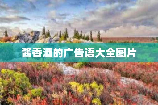 酱香酒的广告语大全图片