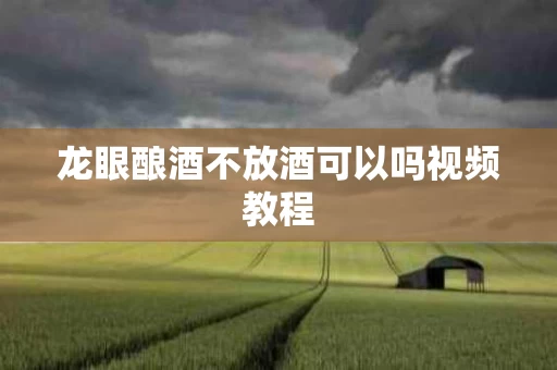 龙眼酿酒不放酒可以吗视频教程