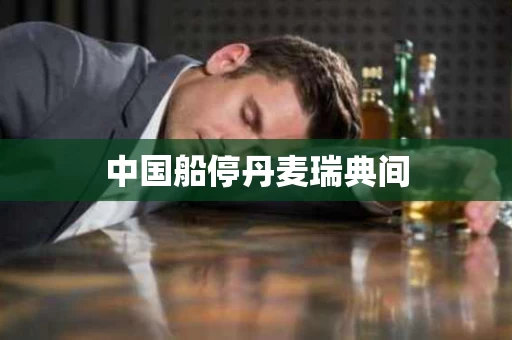 中国船停丹麦瑞典间