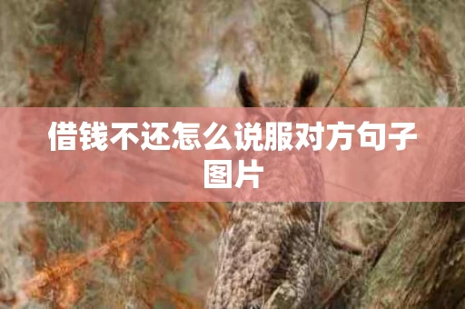 借钱不还怎么说服对方句子图片