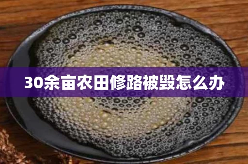 30余亩农田修路被毁怎么办