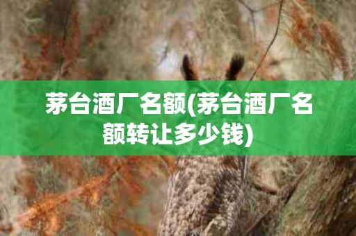 茅台酒厂名额(茅台酒厂名额转让多少钱)