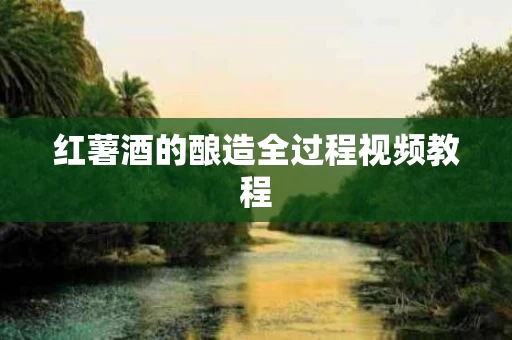 红薯酒的酿造全过程视频教程