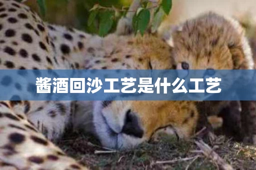酱酒回沙工艺是什么工艺