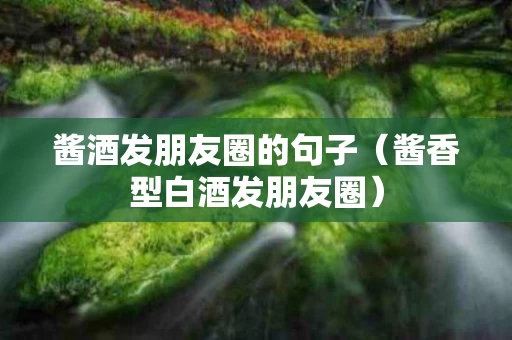 酱酒发朋友圈的句子（酱香型白酒发朋友圈）