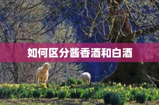 如何区分酱香酒和白酒