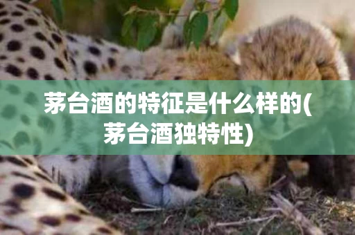 茅台酒的特征是什么样的(茅台酒独特性)