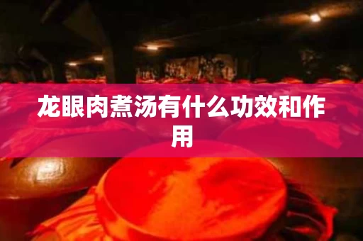 龙眼肉煮汤有什么功效和作用