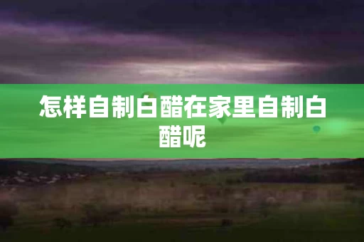 怎样自制白醋在家里自制白醋呢