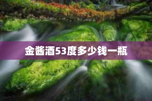 金酱酒53度多少钱一瓶